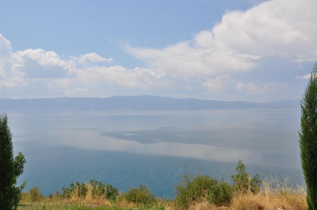 Marina Apartments Ohrid Buitenkant foto